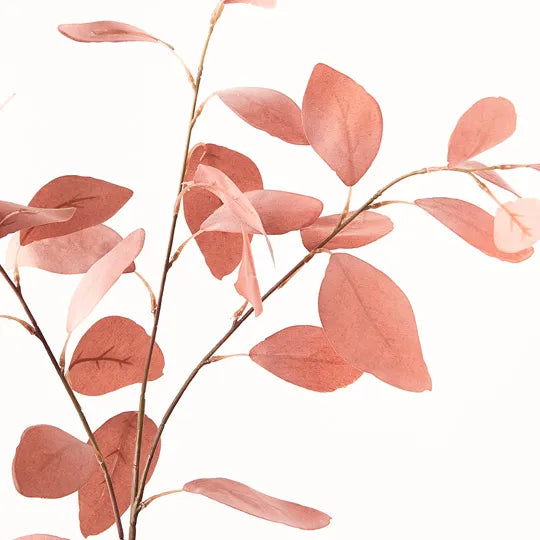 Eucalyptus Silver Dollar Dusty Pink (78cml)