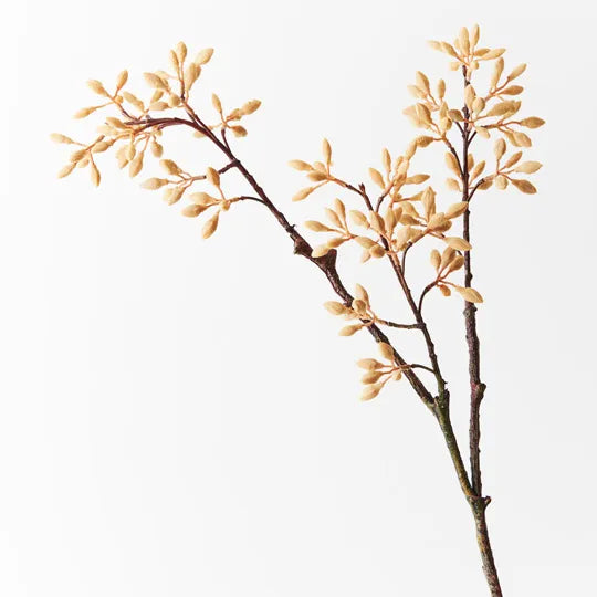 Simplex Seed Spray Natural 70cml