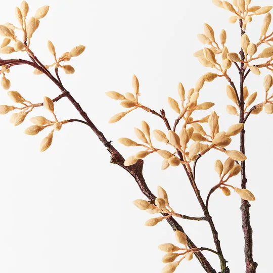 Simplex Seed Spray Natural 70cml