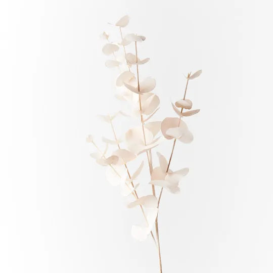 Eucalyptus Silver Dollar Ivory 86cml