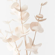 Eucalyptus Silver Dollar Ivory 86cml