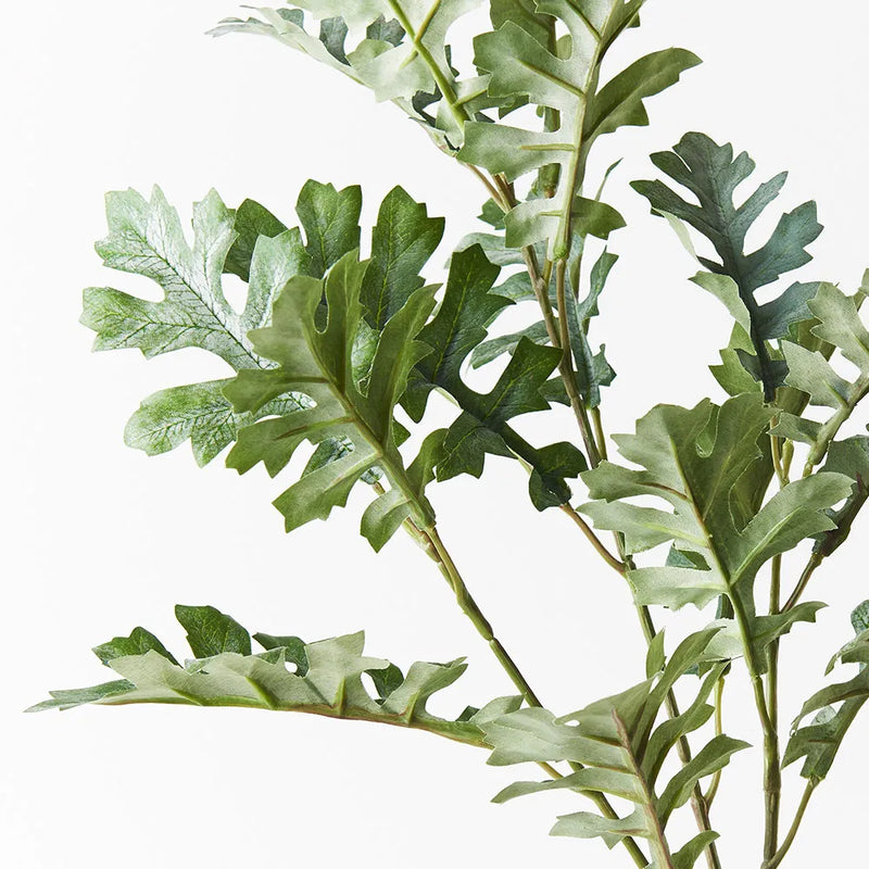 Dusty Miller Spray Grey Green 66cml