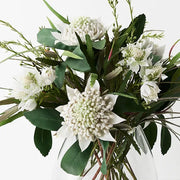 Waratah Mix in Vase White 48cmh – thumbnail