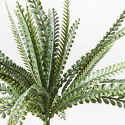 Fern Ostrich Bush Green 33cml – thumbnail