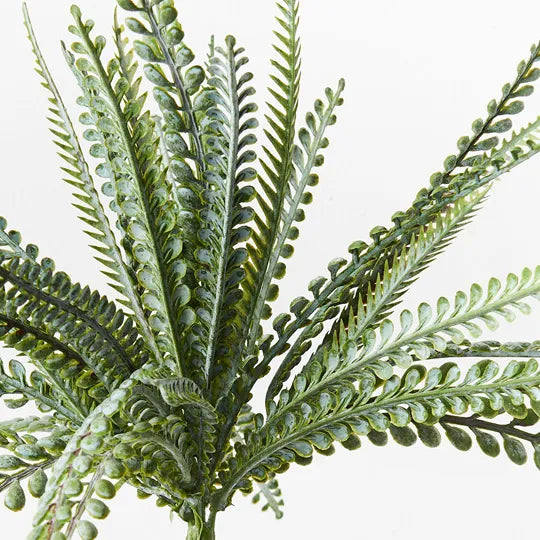 Fern Ostrich Bush Green 33cml