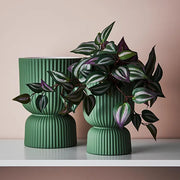 Wandering Jew Hanging Bush in Pot Dark Green 30cml – thumbnail