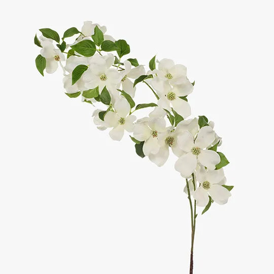 Dogwood Spray White 101cml