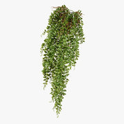 Fern Pond Hanging Bush Green 81cml – thumbnail