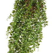 Fern Pond Hanging Bush Green 81cml – thumbnail