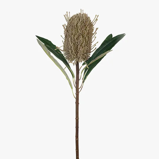 ARTIFICIAL FLOWER™ Banksia Coastal Green (58cml)