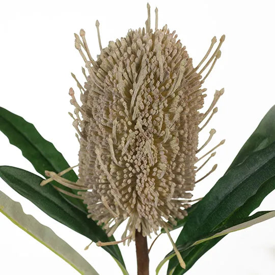 ARTIFICIAL FLOWER™ Banksia Coastal Green (58cml)