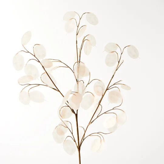 Honesty Spray Ivory 73cml