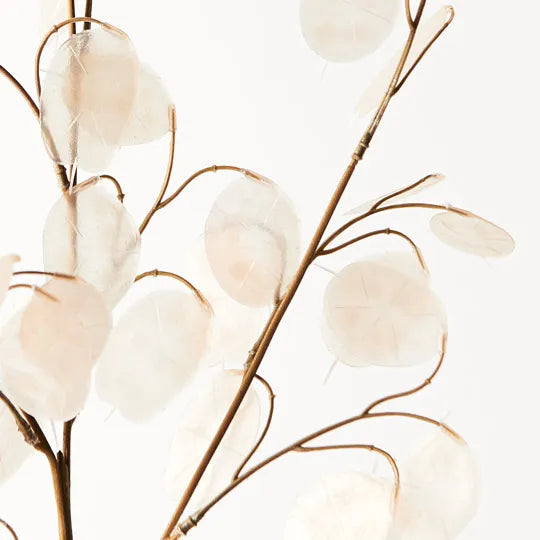 Honesty Spray Ivory 73cml