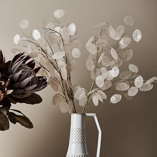 Honesty Spray Ivory 73cml