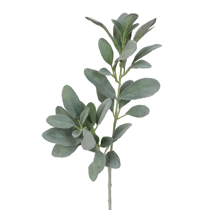Lambs Ear Leaf Spray Grey Green 71cml