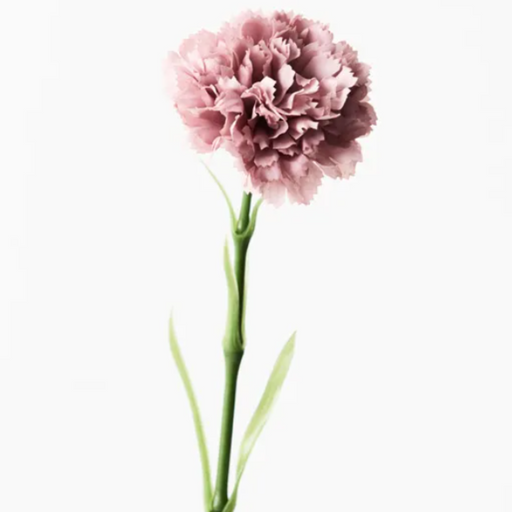 Carnation Dusty Pink Artificial Flower 47cml