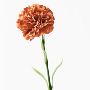 Artificial Flower Carnation