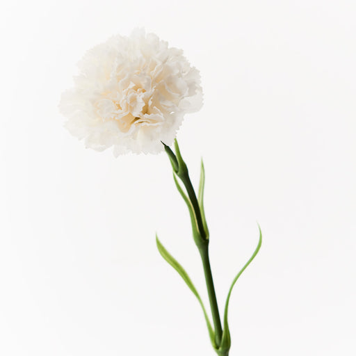 Artificial Flower Carnation White