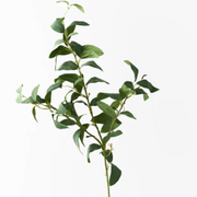Artificial Laurel Leaf Spray Green 84cml