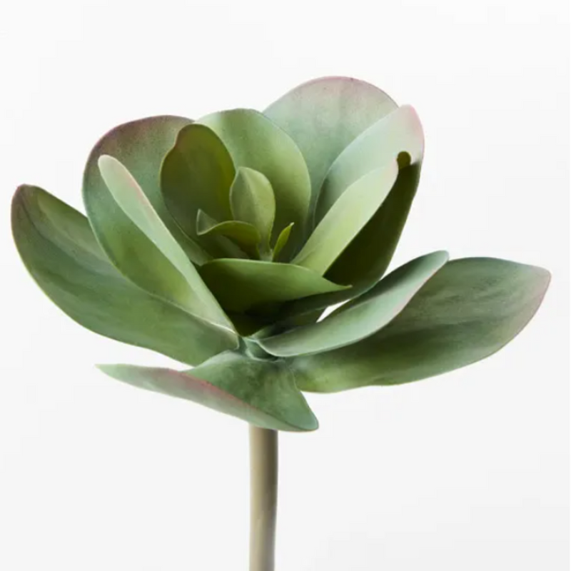 Kalanchoe Flapjack Artificial Succulents 15cml