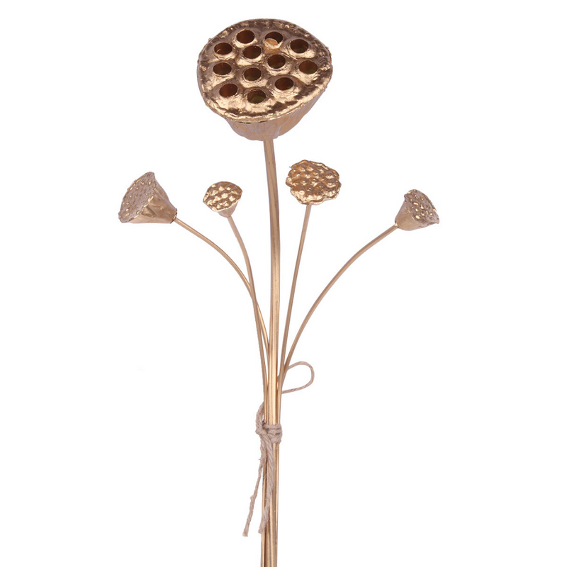 Ronis Lotus Pod Bundle 57cm Gold