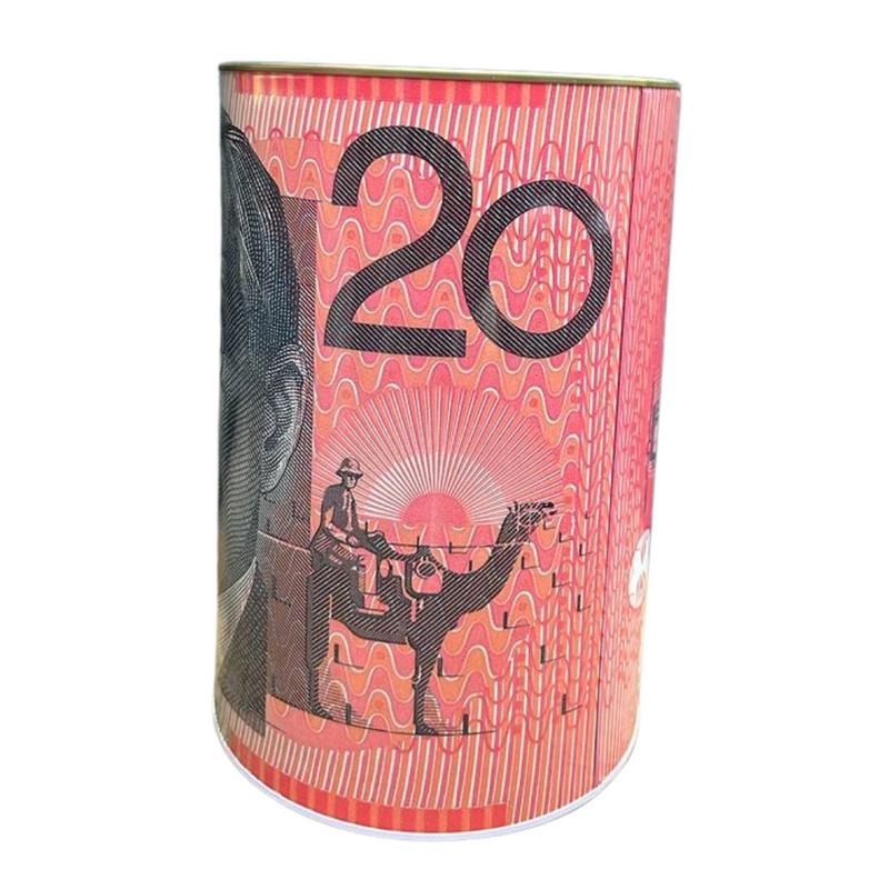 Money Tin Aussie Designs 20x34.5cm