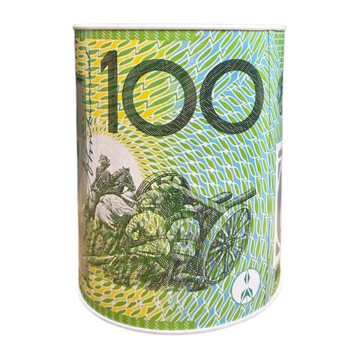 Money Tin Aussie Designs 20x34.5cm