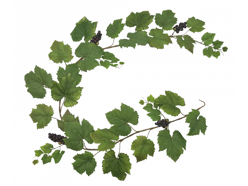 Grape Leaf Ivy Garland 6ft