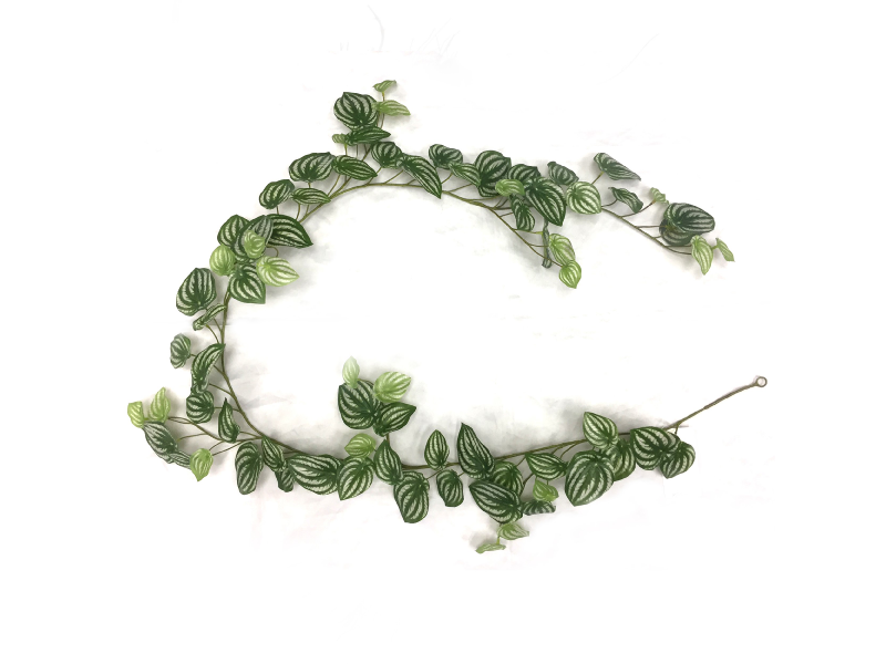 Watermelon Peperomia Garland 6ft