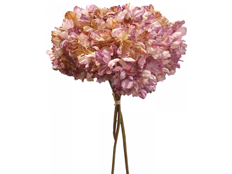 Hydrangea Bundle x3 Mauve