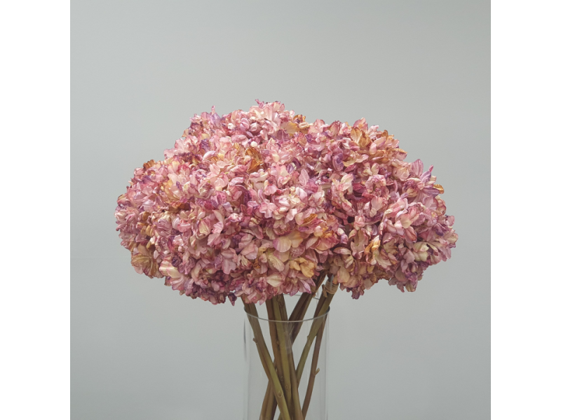 Hydrangea Bundle x3 Mauve
