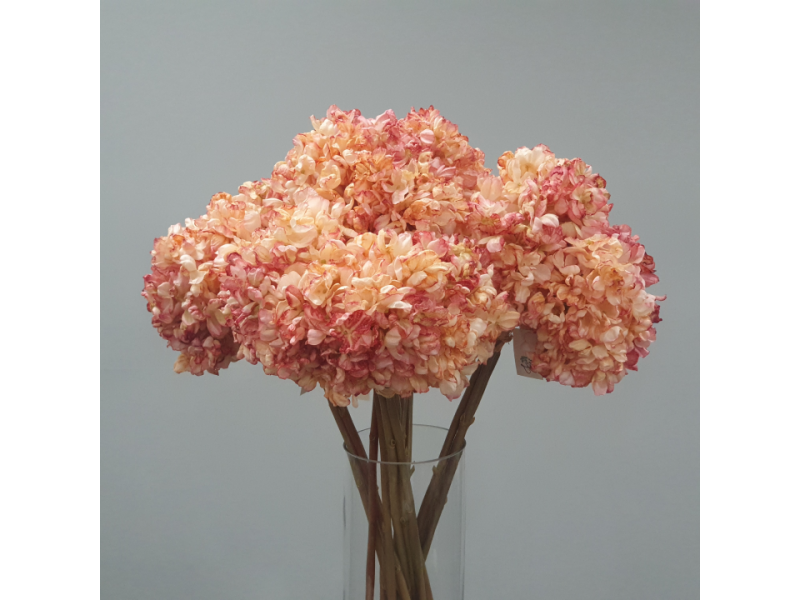 Hydrangea Bundle x3 (Pink)