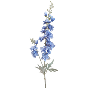 Delphinium Blue – thumbnail