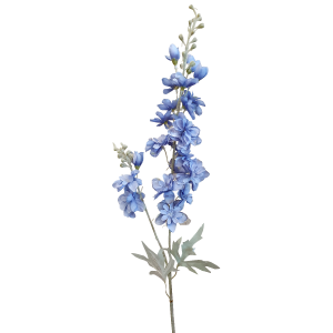 Delphinium Blue