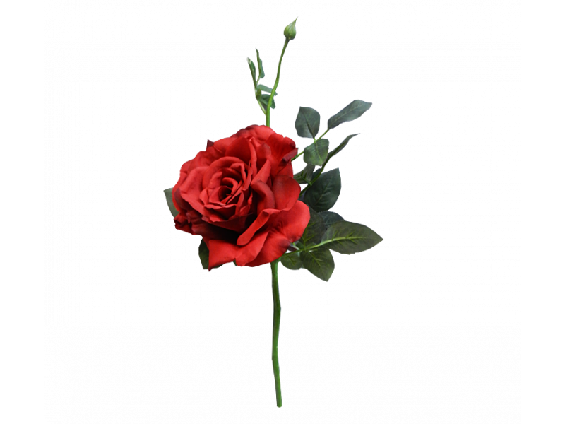 Quiannie Red Rose (35cm) Valentine
