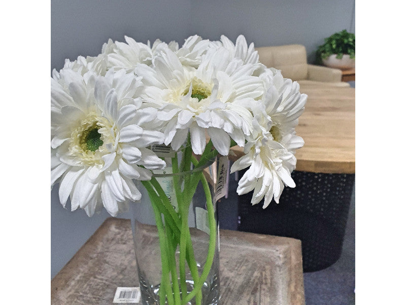 Gerbera White (31cm)