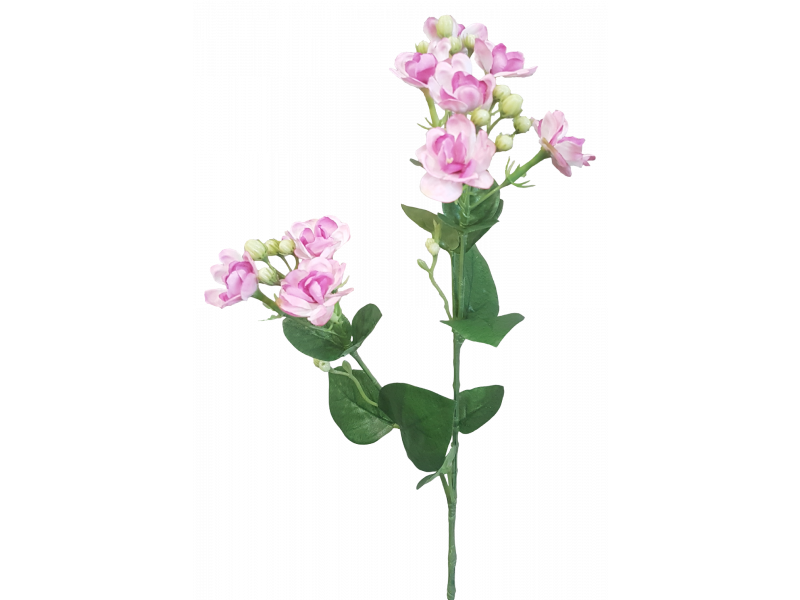 Jasmin Spray Pink (61cm)