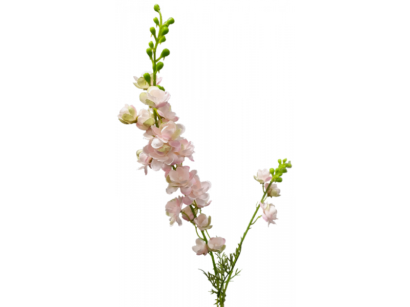 Delphinium (Pink)