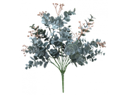 Euonymus Japonicus Brwn Green Bush 38x20cm – thumbnail