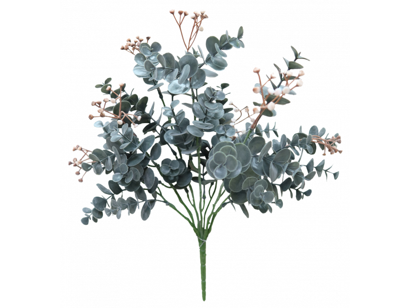 Euonymus Japonicus Brwn Green Bush 38x20cm