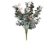 Euonymus Japonicus Brwn Green Bush 38x20cm – thumbnail