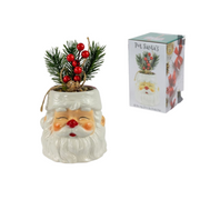 santa-pot-with-christmas-berry-plant-11cm