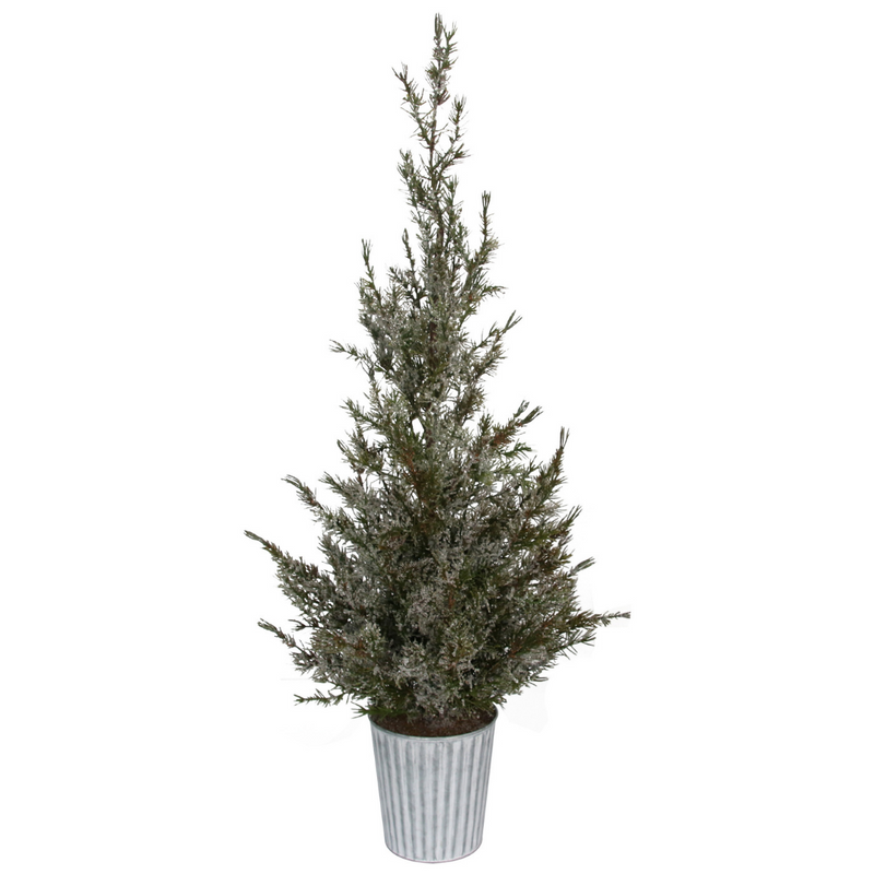 Ronis Snow Capped Pine Tree in Pot 98cm