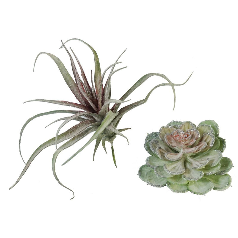 RONIS SUCCULENT PICK 13-20CM ASST.